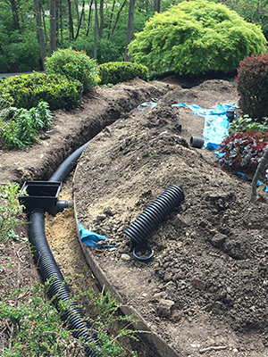 Drainage Solutions Dallas