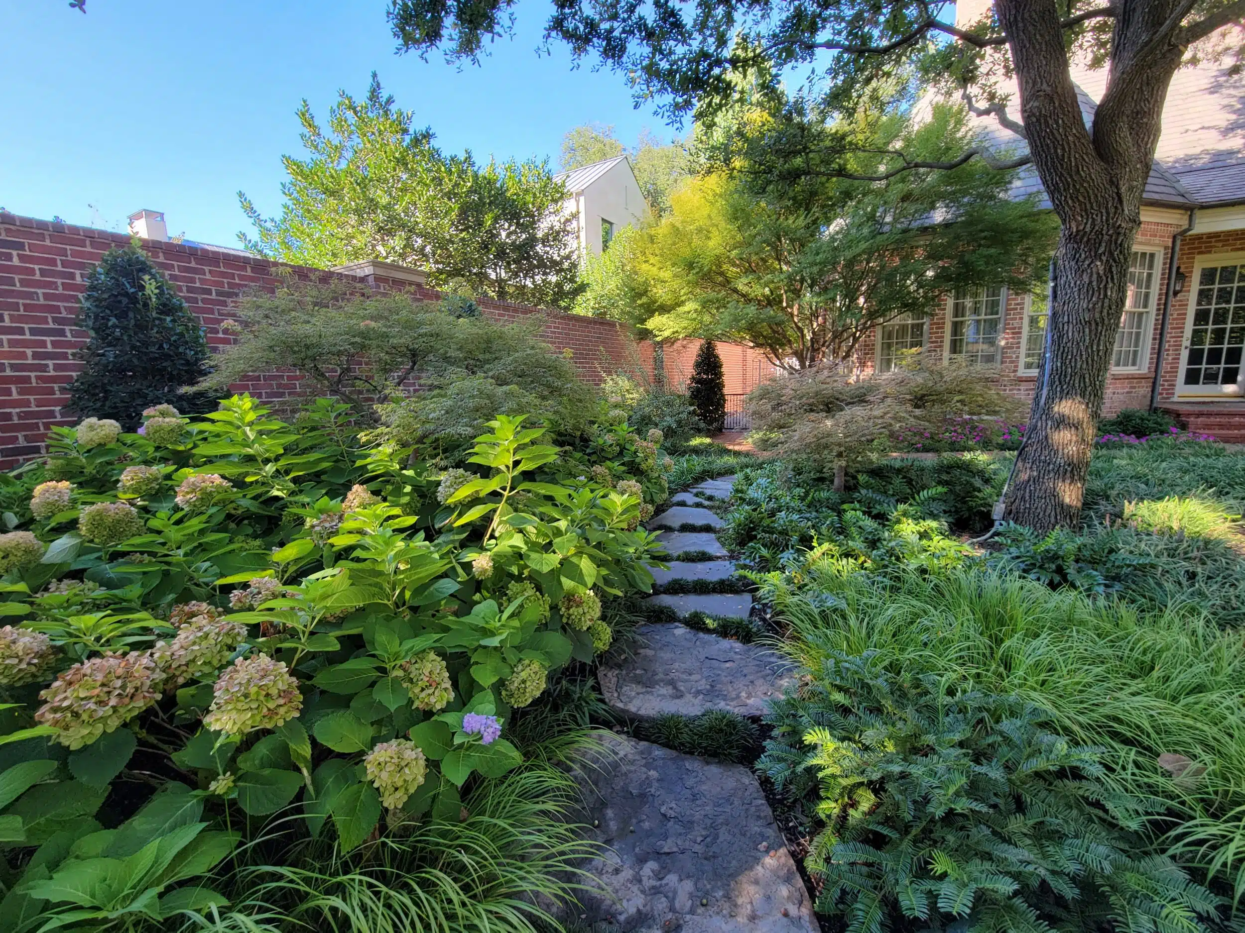 Landscape Design Dallas